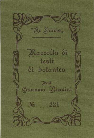 Fondo Nicolini